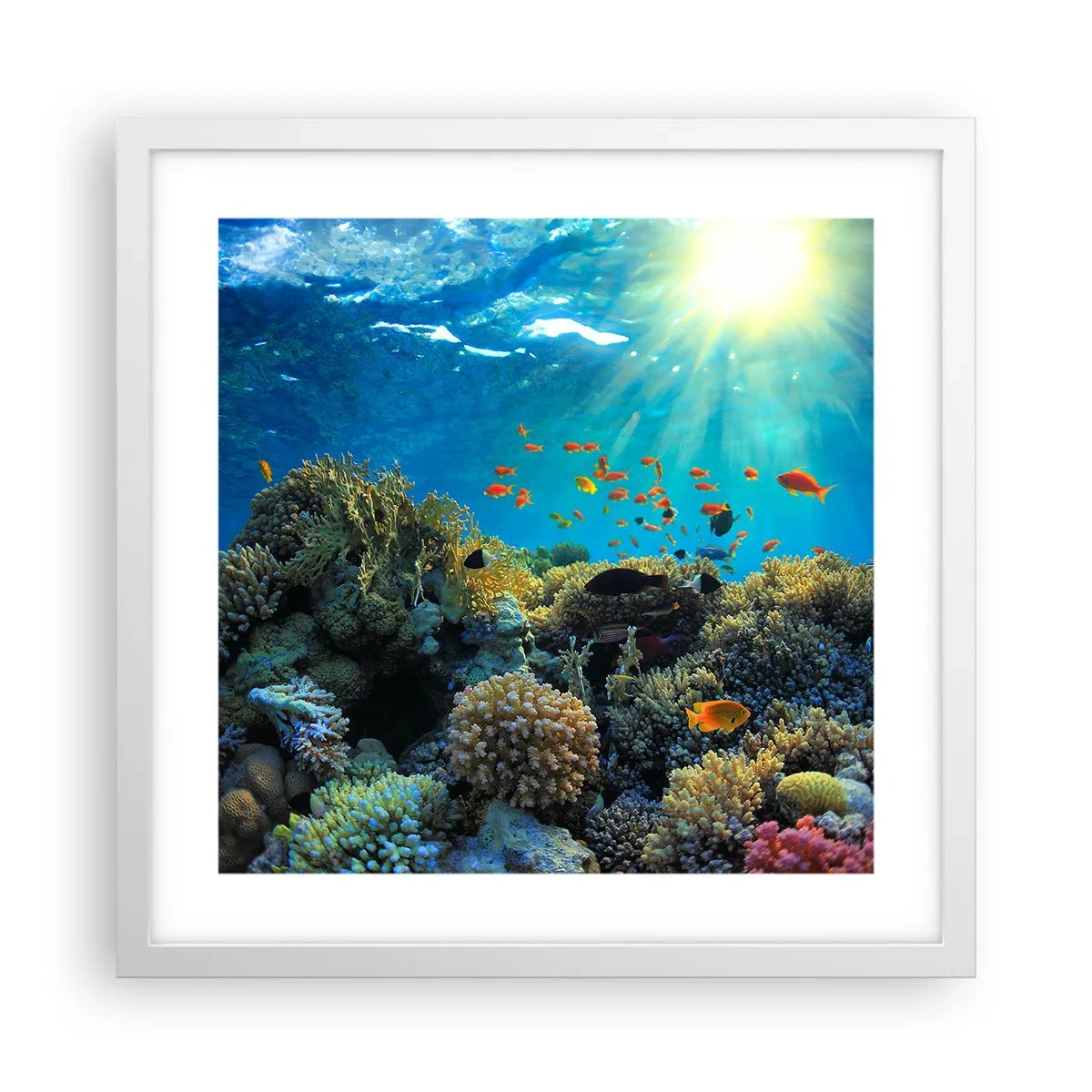 Poster in cornice bianca - Tesori sotto al mare - 40x40 cm