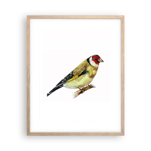 Poster in cornice rovere chiaro - Ritratto di uccello - 40x50 cm