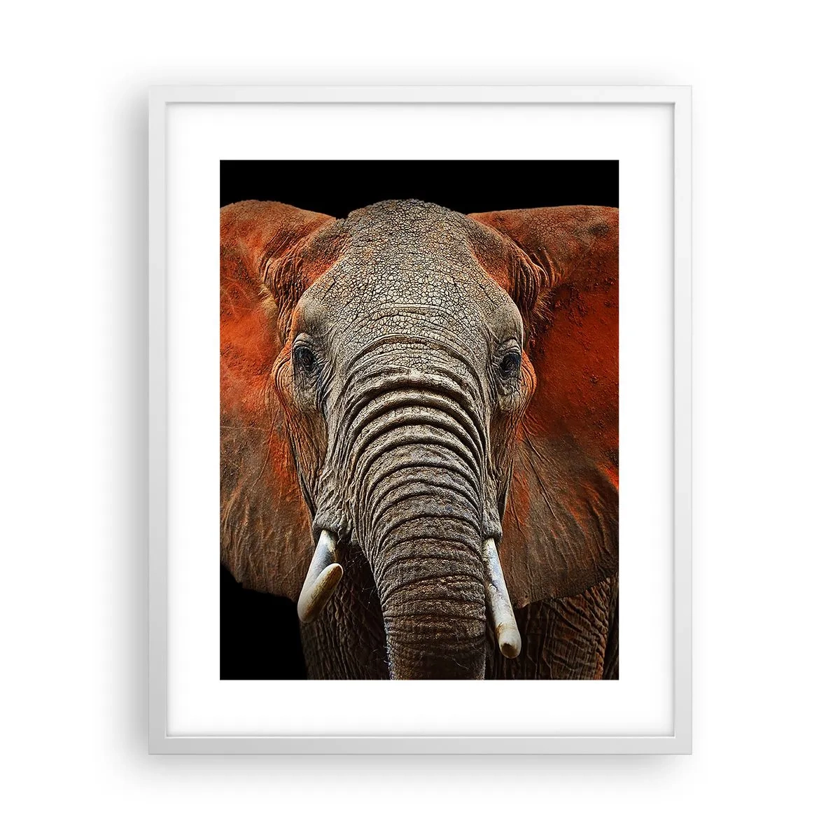 Poster in cornice bianca - Sono selvaggio e tu? - 40x50 cm