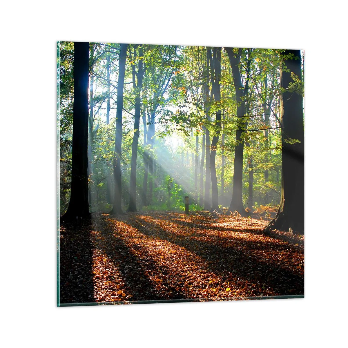 Quadro su vetro - Luci e ombre - 70x70 cm