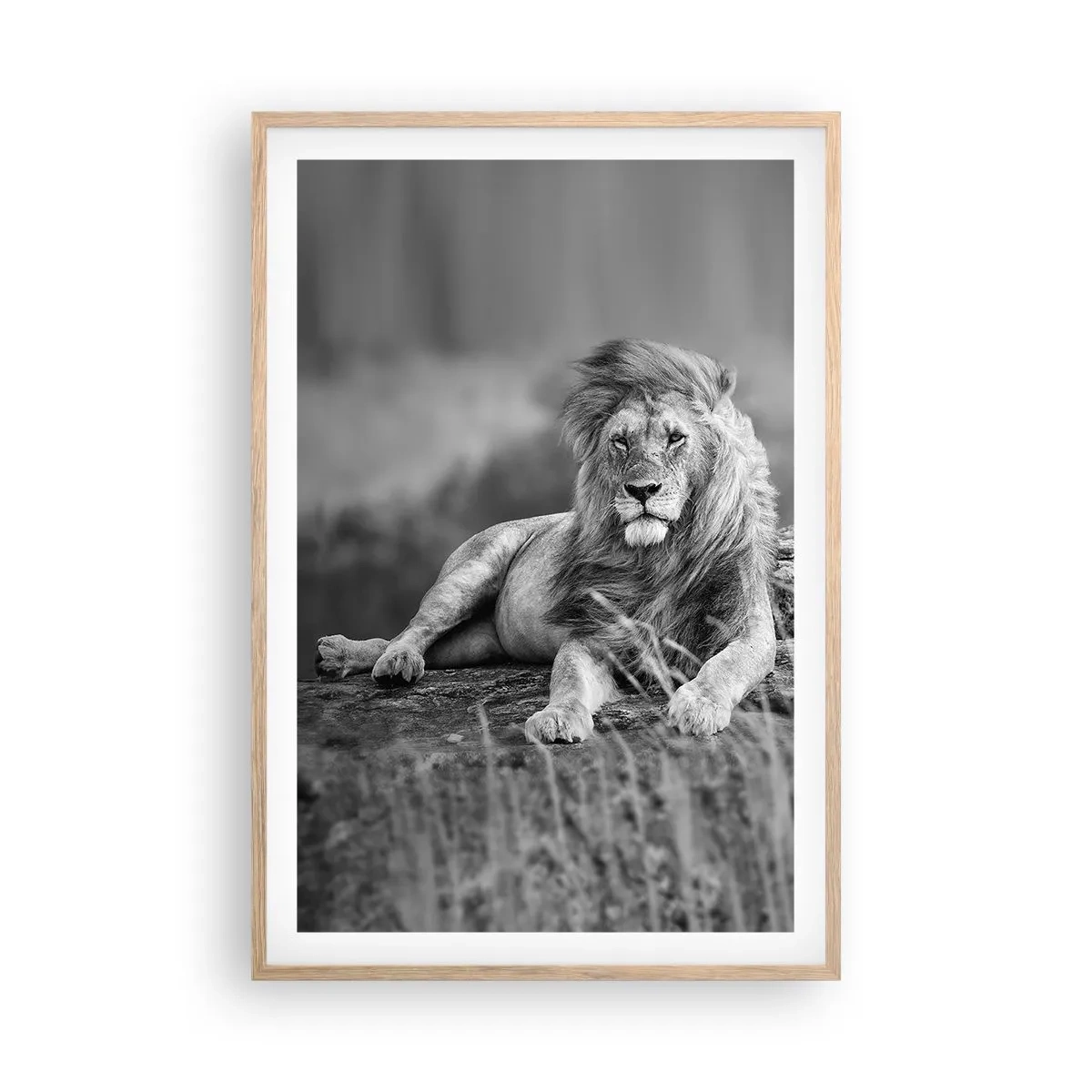 Poster in cornice rovere chiaro - La siesta del re - 61x91 cm