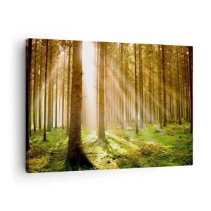 Quadro su tela - Stampe su Tela - Foresta di conifere con raggi di sole che brillano attraverso gli alberi - 70x50cm - Adesso appaiono gli elfi - Decorazione murale moderna per soggiorno e camera da letto ARTTOR