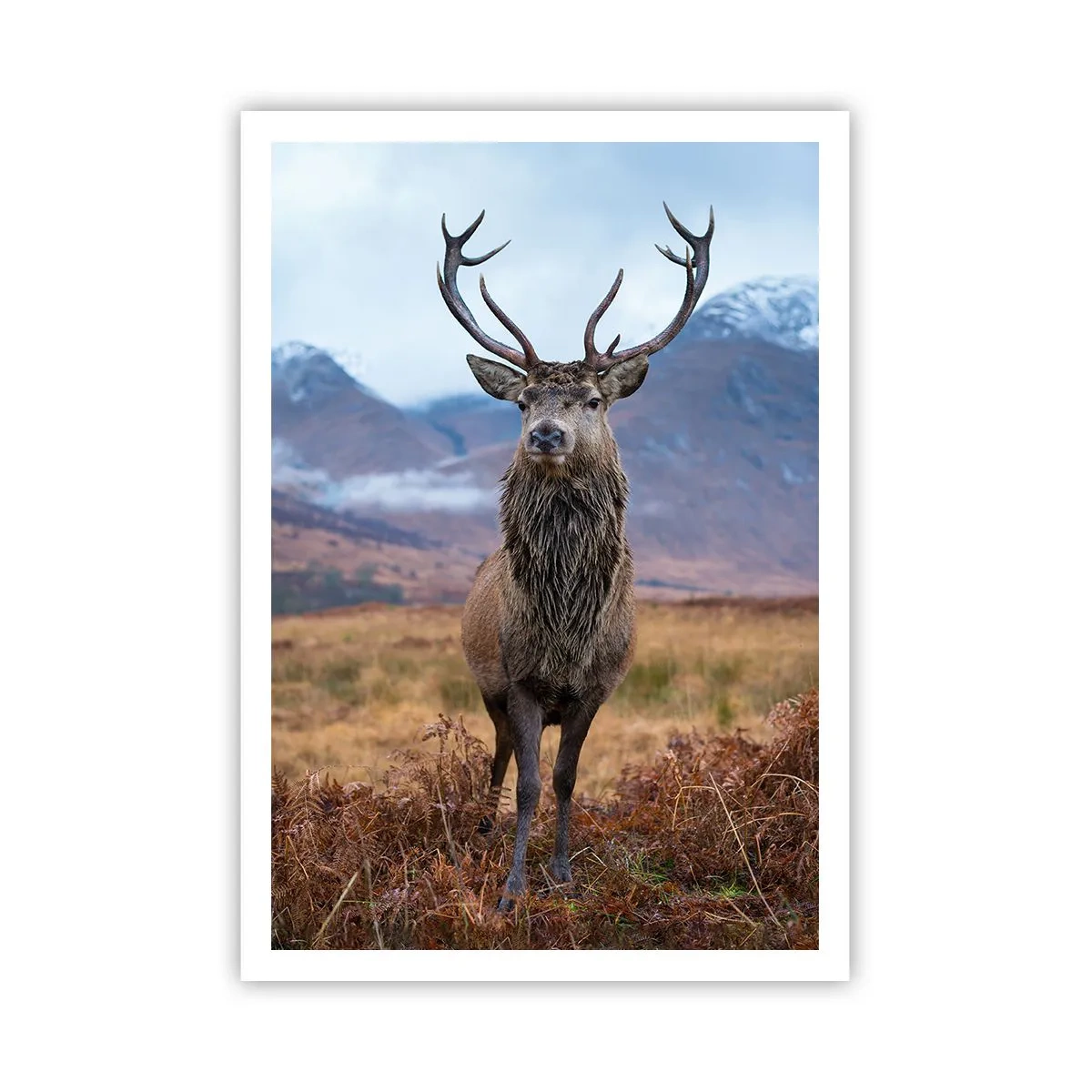 Poster - Sulla propria terra - 70x100 cm