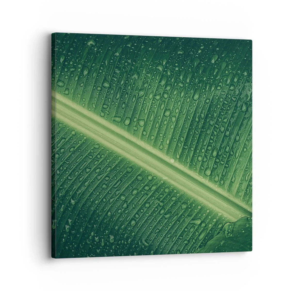 Quadro su tela - Stampe su Tela - La struttura del verde - 30x30 cm