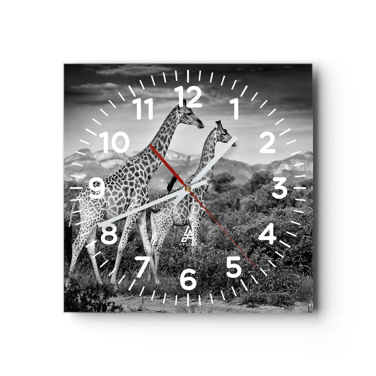 Orologio da parete - Orologio in Vetro - Alta classe in Africa - 30x30 cm