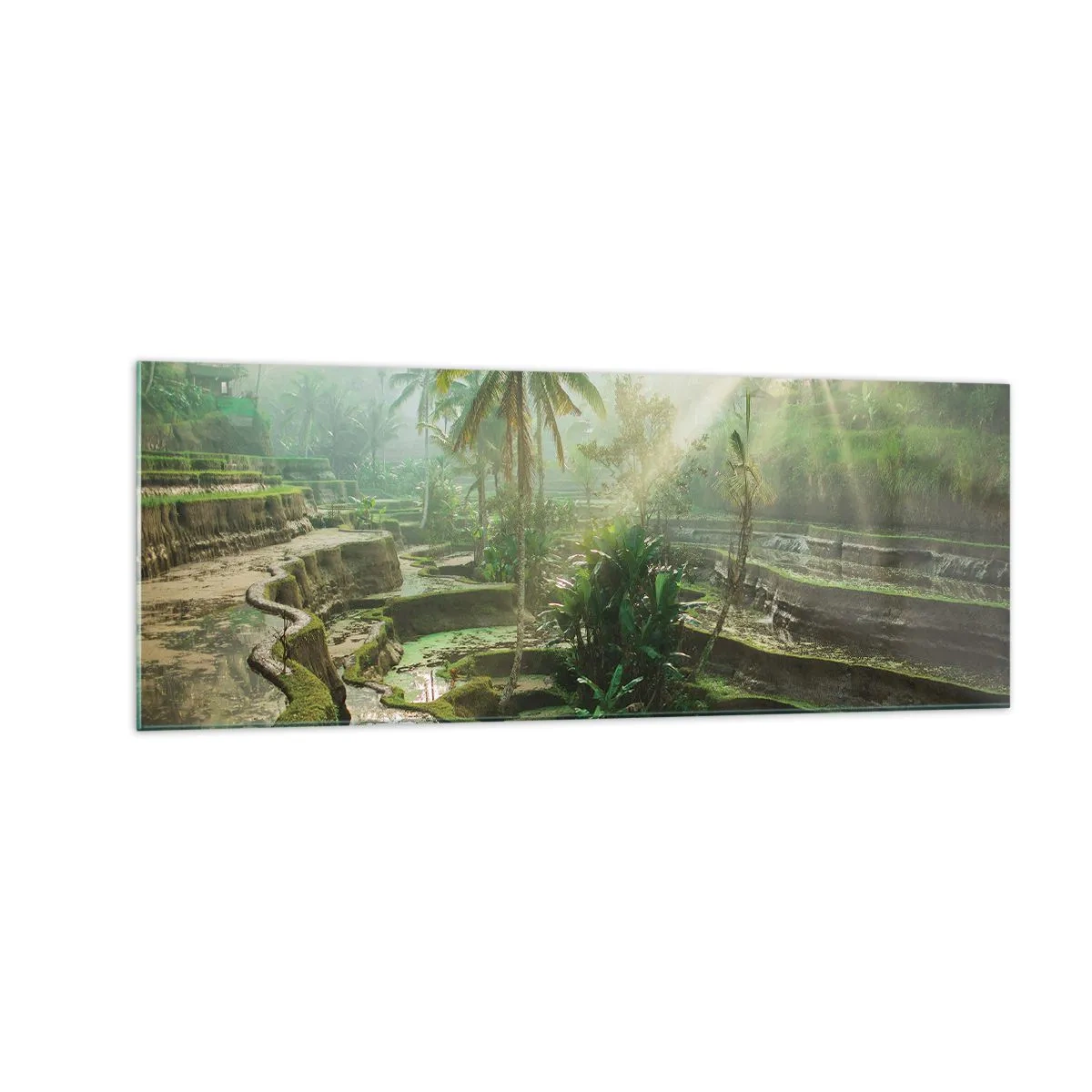 Quadro su vetro - Terrazze di riso con palme sotto i raggi del sole - 140x50cm - Crescere al sole - Decorazione murale moderna per soggiorno e camera da letto ARTTOR