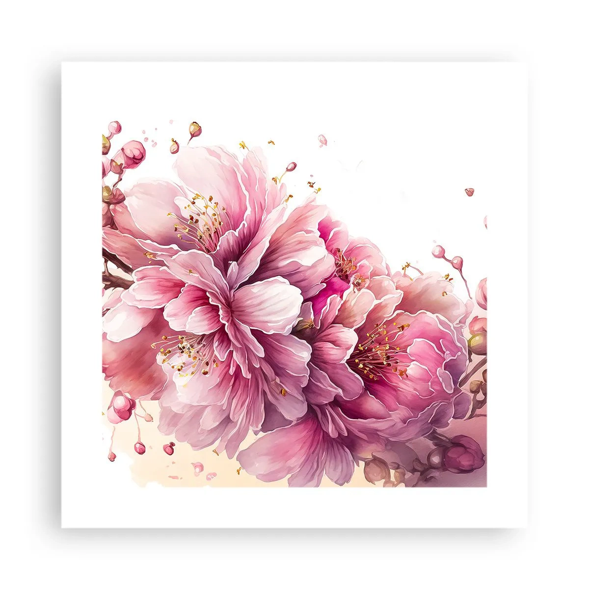 Poster - Fiore di ciliegio - 40x40 cm