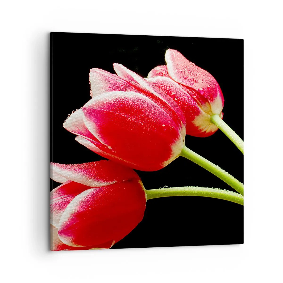 Quadro su tela - Stampe su Tela - Promessa di amore puro - 50x50 cm