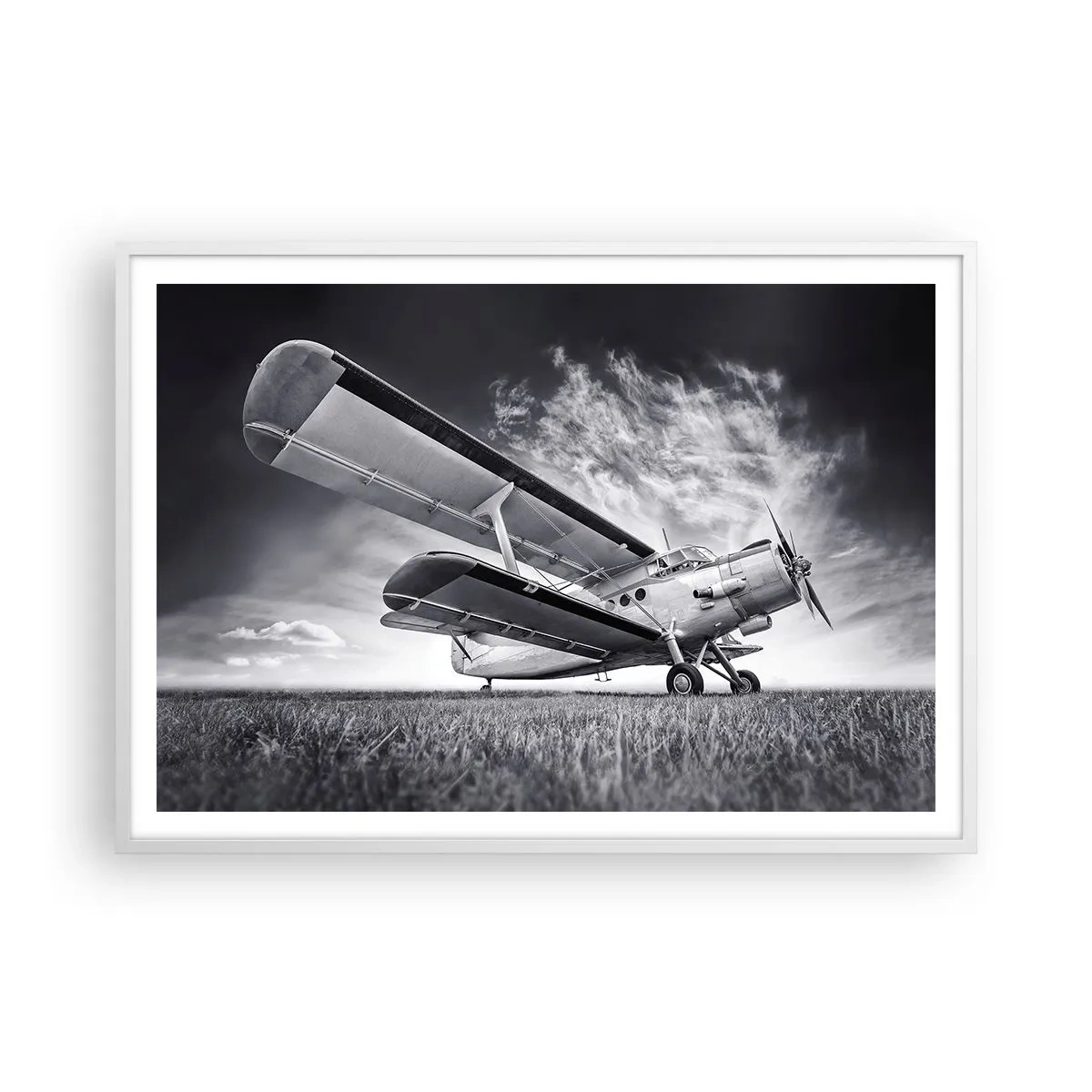 Poster in cornice bianca - Giramondo alato  - 100x70 cm