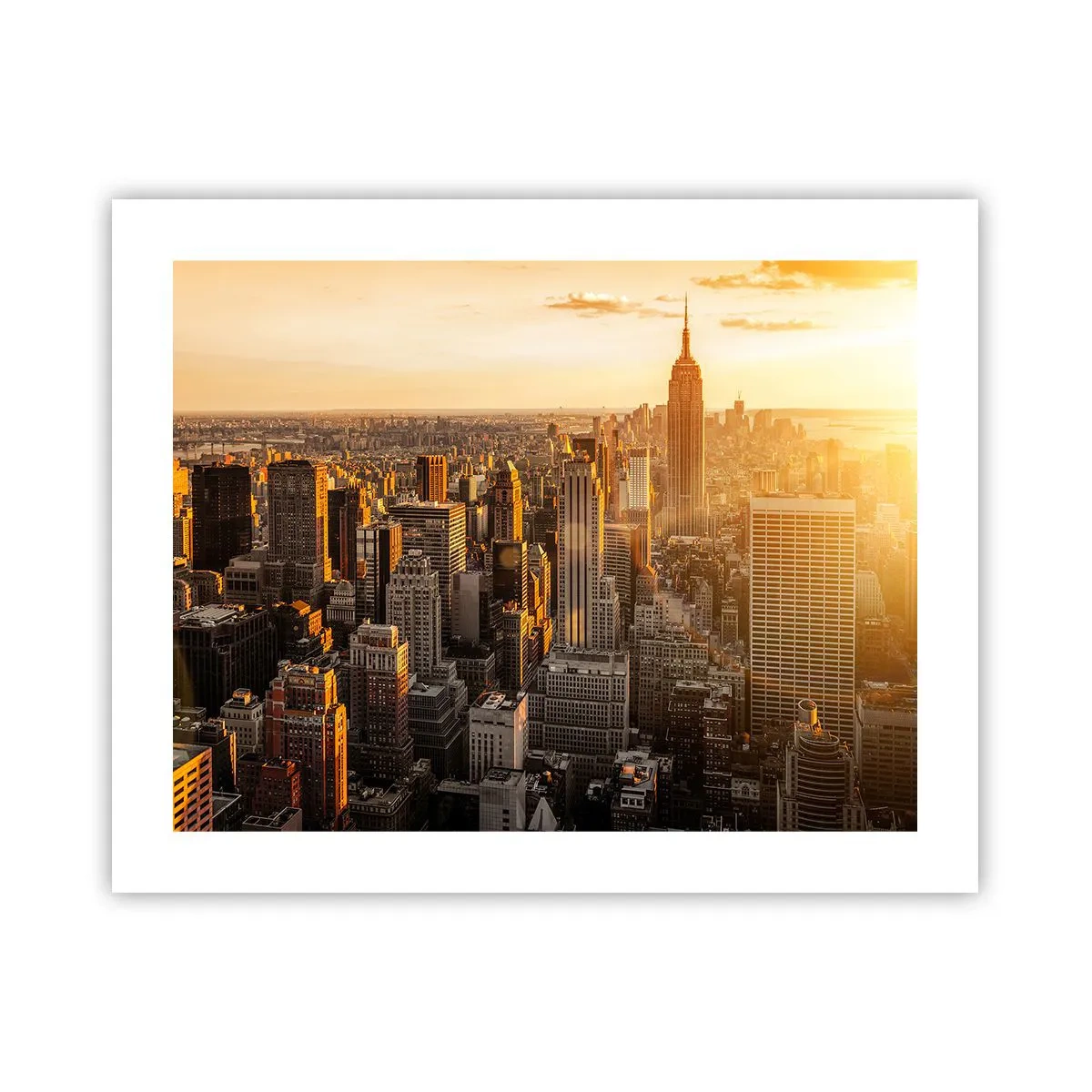 Poster - Crescere al sole - 50x40 cm