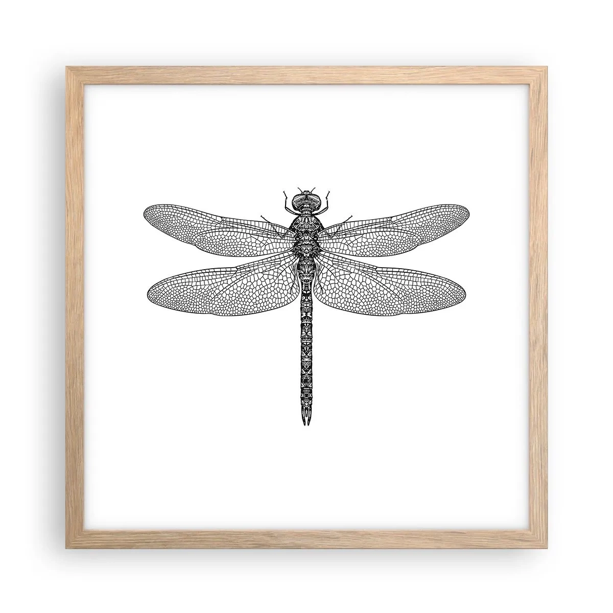 Poster in cornice rovere chiaro - La precisione della natura - 40x40 cm