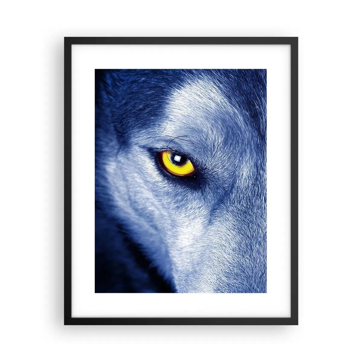 Poster in cornice nera - Sguardo ipnotico - 40x50 cm