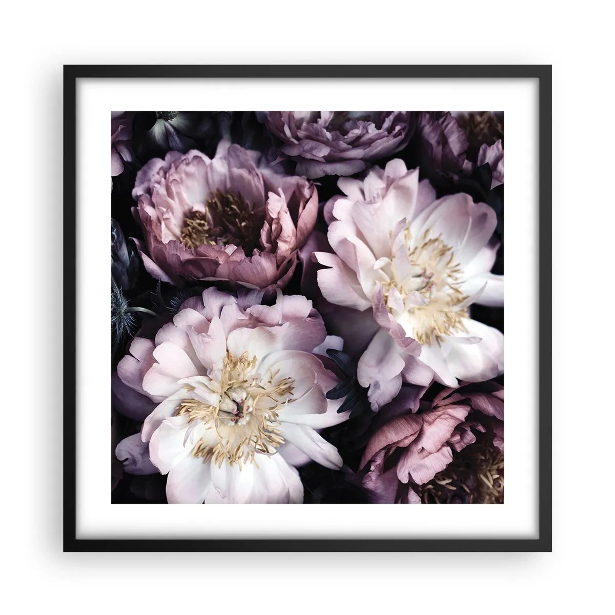 Poster in cornice nera - Bouquet nel vecchio stile - 50x50 cm