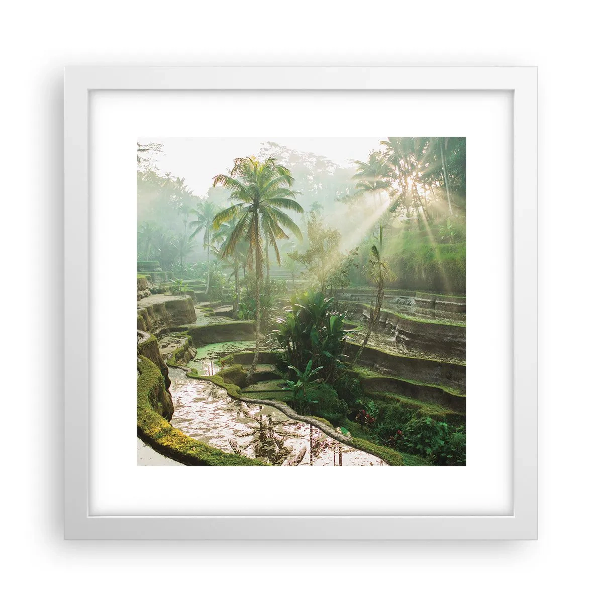 Poster in cornice bianca - Crescere al sole - 30x30 cm