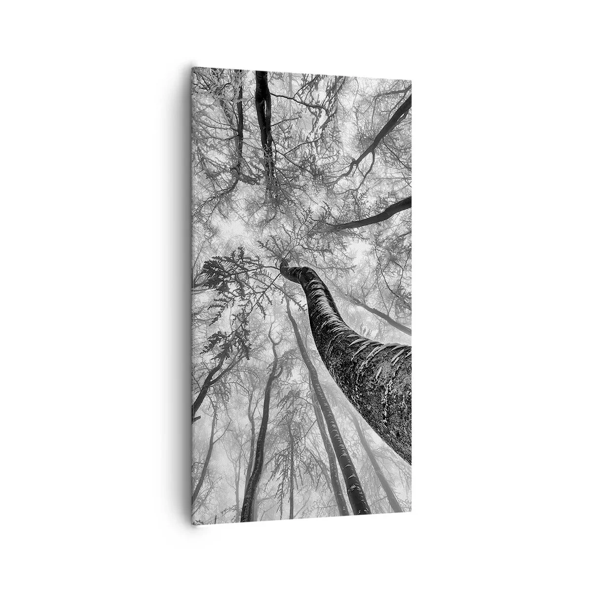 Quadro su tela - Stampe su Tela - La corsa verso la luce - 65x120 cm