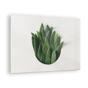 Quadro su vetro - Foglie verdi disposte a forma di vaso su sfondo bianco - 70x50cm - Curiosità irrefrenabile - Decorazione murale moderna per soggiorno e camera da letto ARTTOR