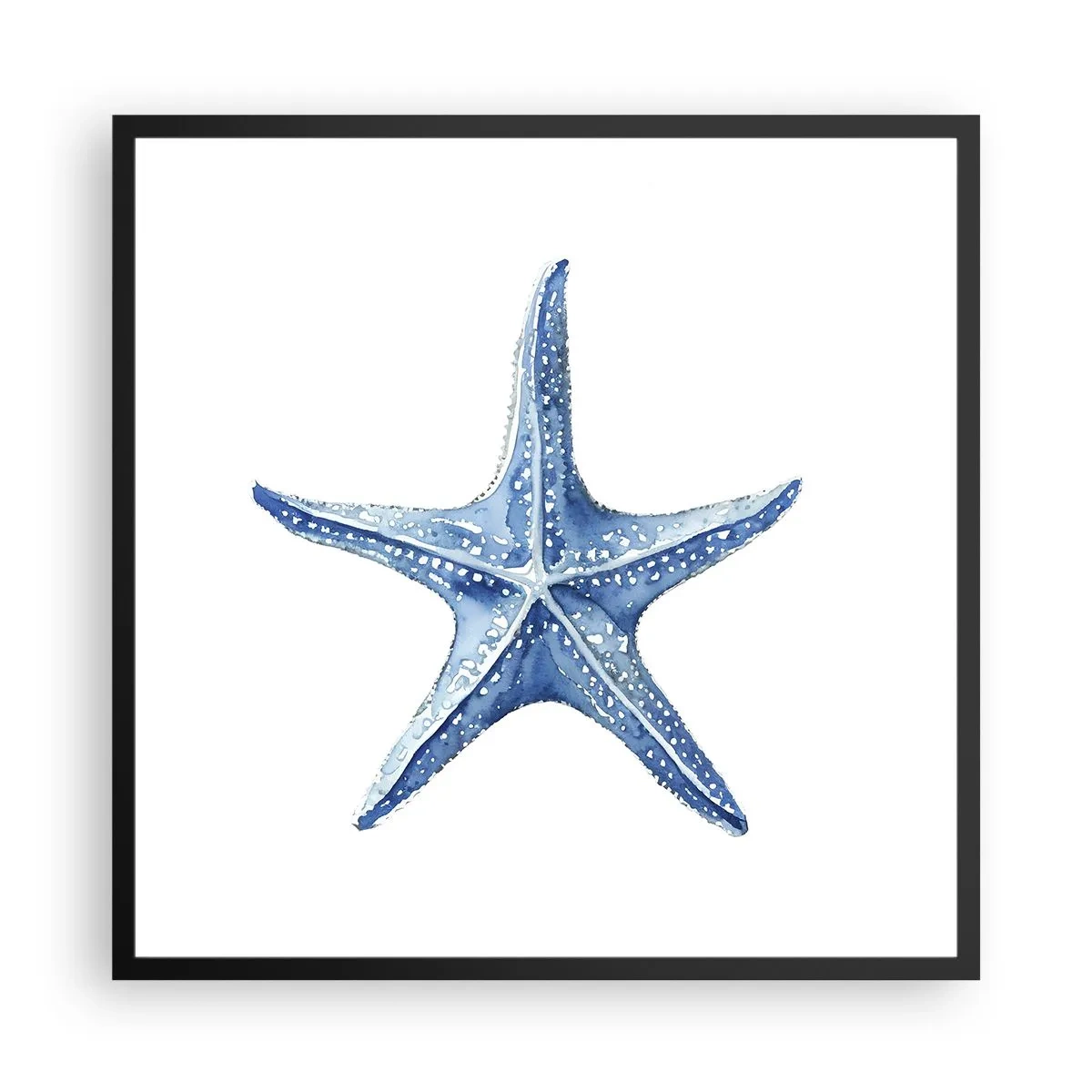 Poster in cornice nera - Stella marina - 60x60 cm