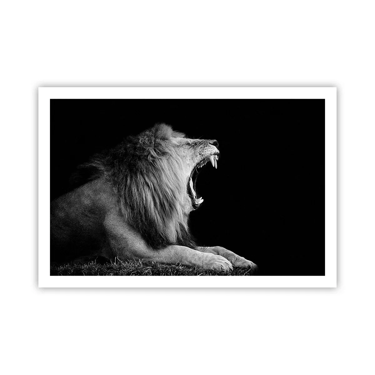 Poster - Senza alcun dubbio - 91x61 cm