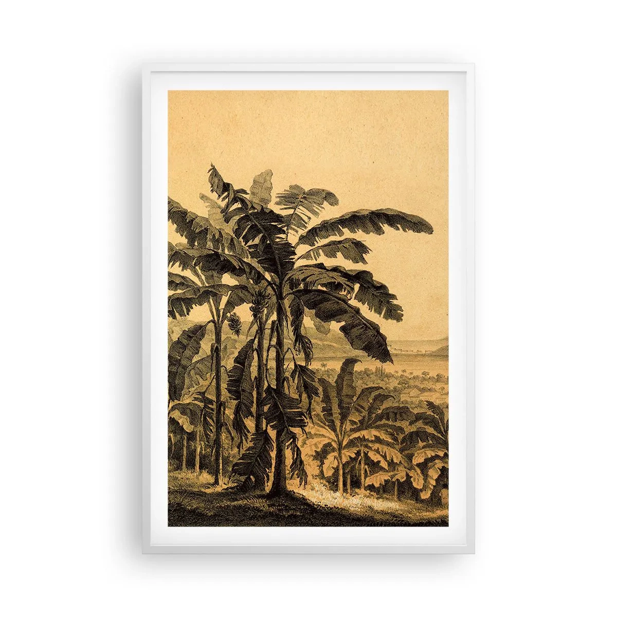 Poster in cornice bianca - Nel clima coloniale - 61x91 cm