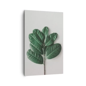 Quadro su tela - Stampe su Tela - Un rametto di foglie verdi su uno sfondo chiaro - 80x120cm - Il disegno della natura stessa - Decorazione murale moderna per soggiorno e camera da letto ARTTOR