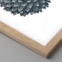 Rovere chiaro