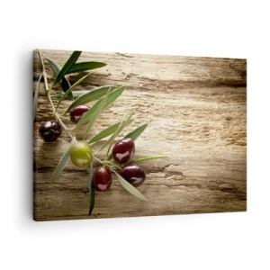 Quadro su tela - Stampe su Tela - Ramo d'ulivo con frutta su uno sfondo di legno invecchiato - 70x50cm - Direttamente dalla natura - Decorazione murale moderna per soggiorno e camera da letto ARTTOR