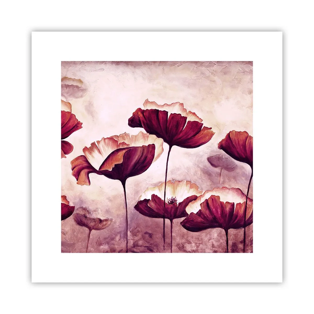 Poster - Petalo rosso e bianco - 30x30 cm