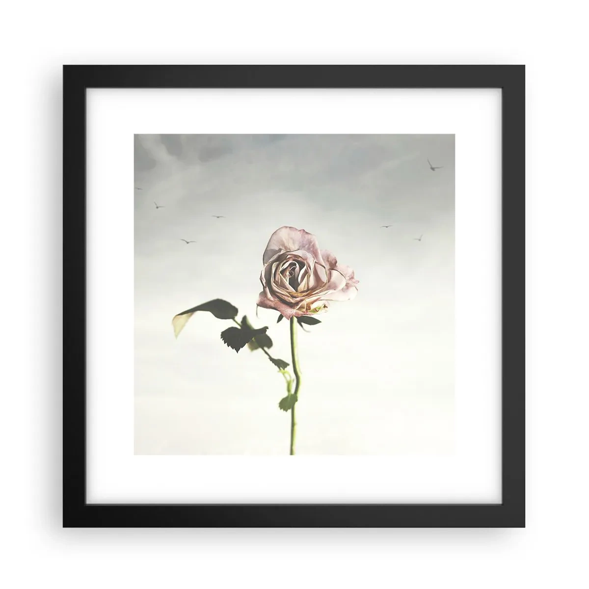 Poster in cornice nera - Il benvenuto alla primavera - 30x30 cm