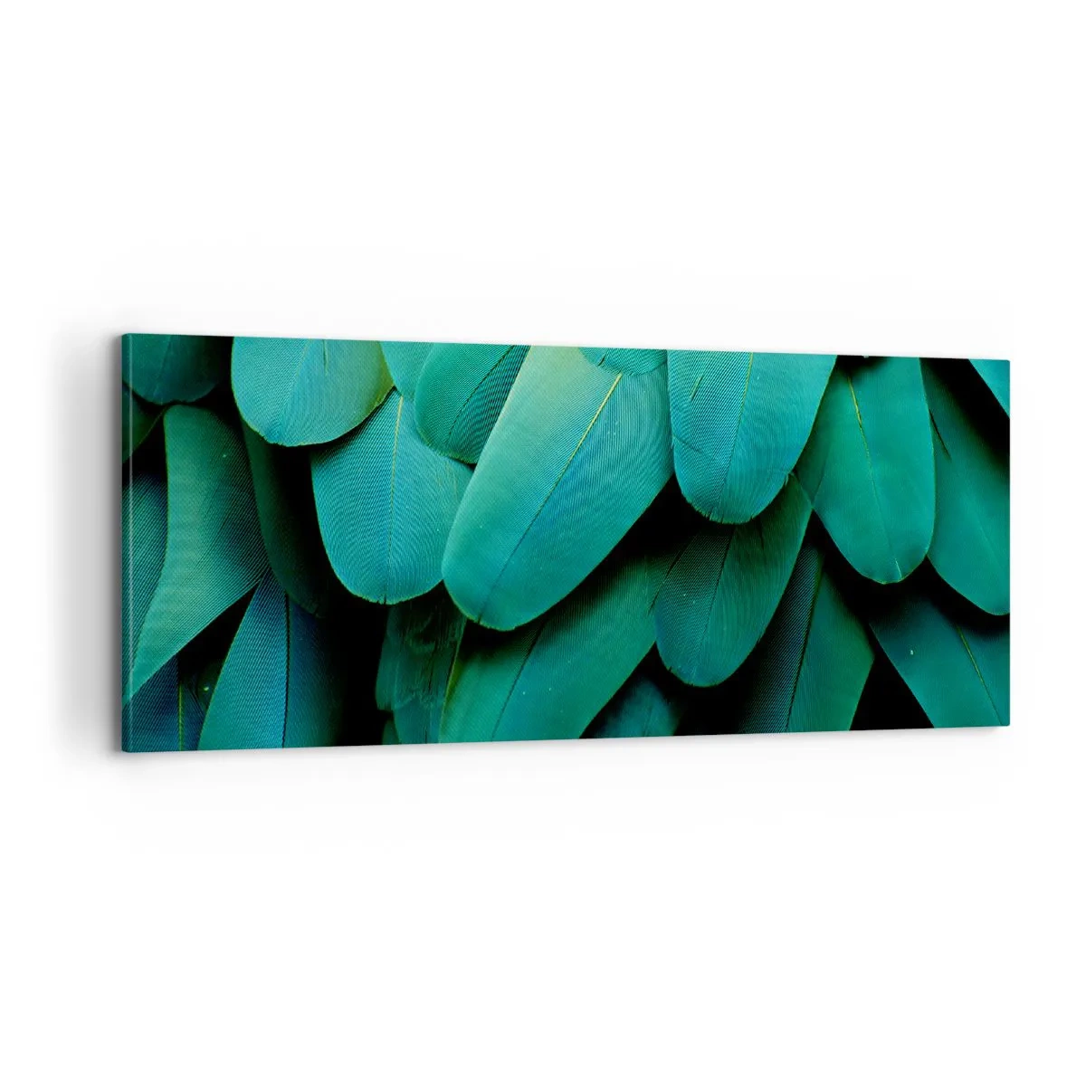 Quadro su tela - Stampe su Tela - Precisione da pappagallo - 100x40 cm