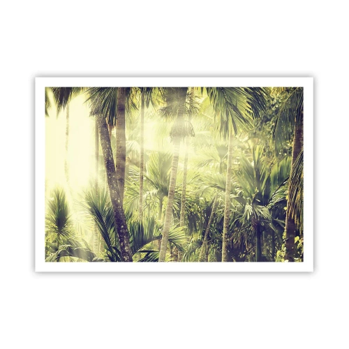 Poster - Raggi di sole in una foresta tropicale di palme - 100x70cm - Nell'afa verde - Decorazione murale moderna per soggiorno e camera da letto ARTTOR