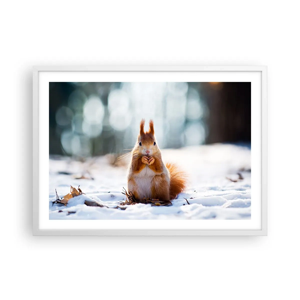 Poster in cornice bianca - Che cosa guardi? - 70x50 cm