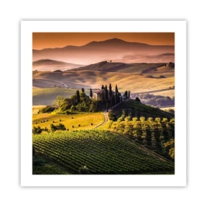 Poster - Arcadia: paesaggio toscano - 50x50 cm