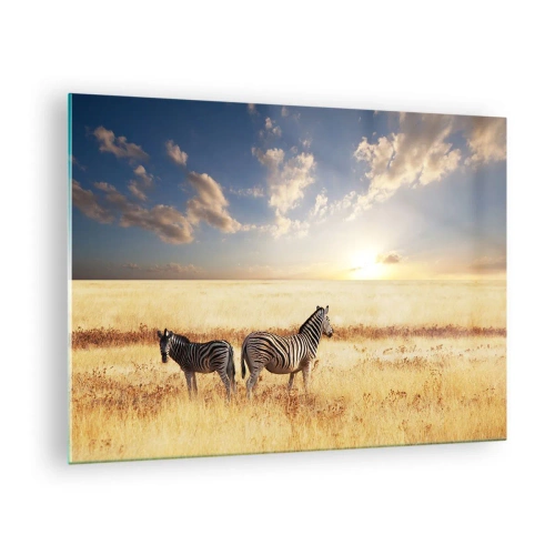 Quadro su vetro - Due zebre nella savana al tramonto - 70x50cm - Allontanati, non disturbare - Decorazione murale moderna per soggiorno e camera da letto ARTTOR