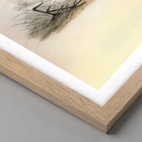Rovere chiaro