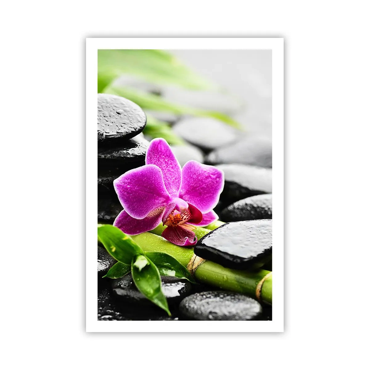 Poster - Un tranquillo equilibrio - 61x91 cm
