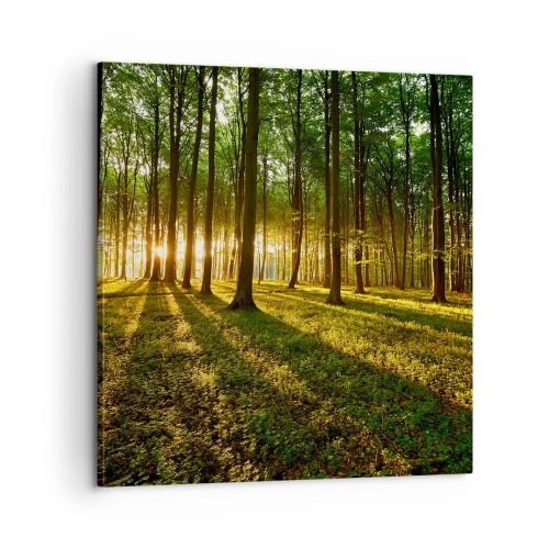 Quadro su tela - Stampe su Tela - La foto di ogni primavera - 60x60 cm