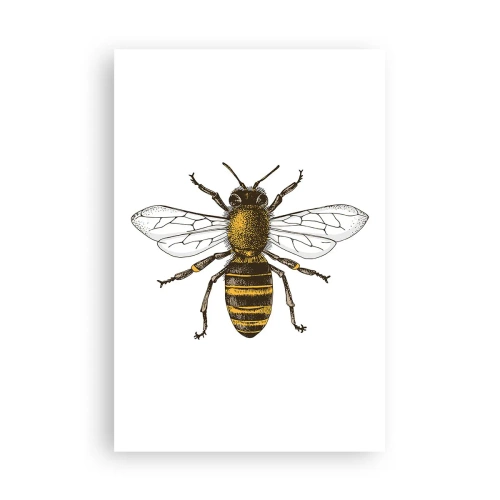 Poster - Bella e buona - 61x91 cm