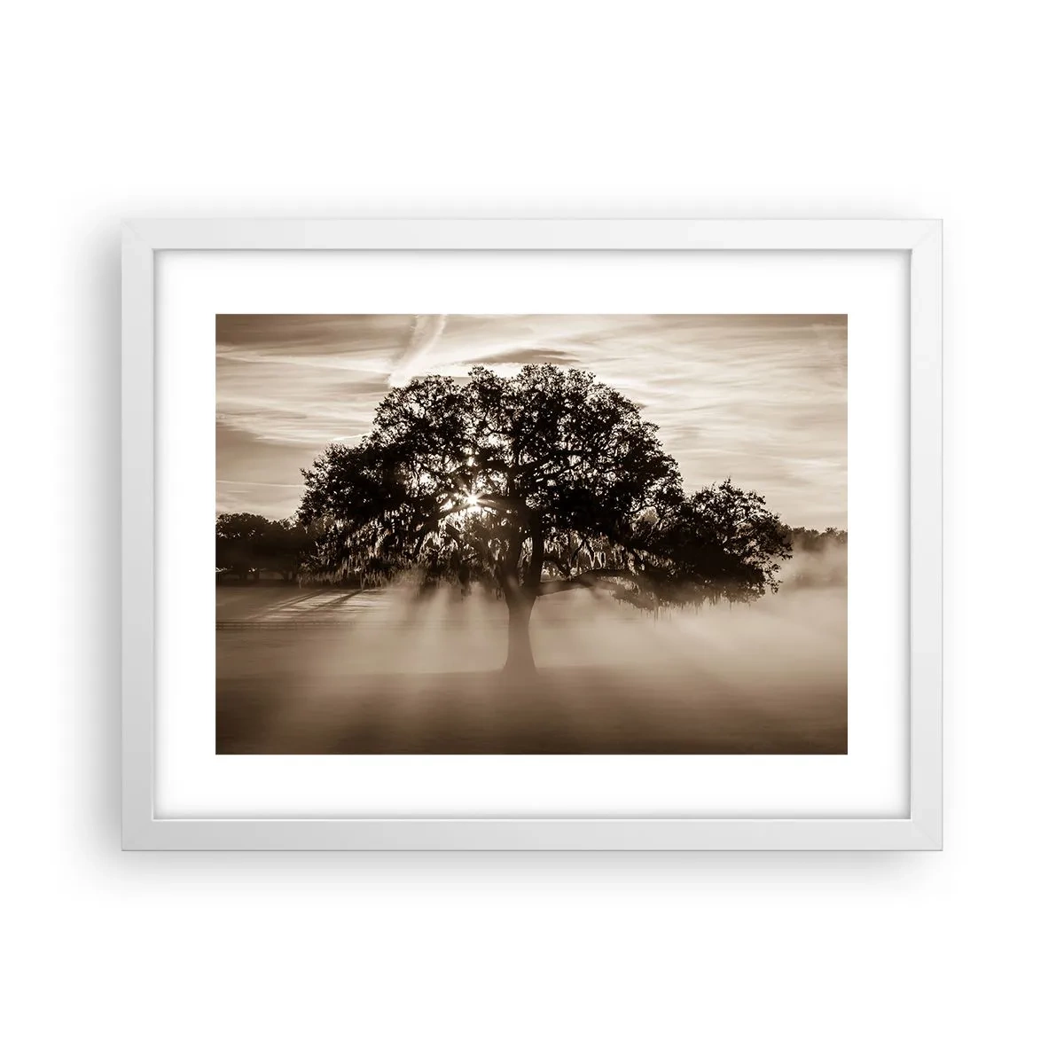 Poster in cornice bianca - L'albero delle sole buone notizie - 40x30 cm