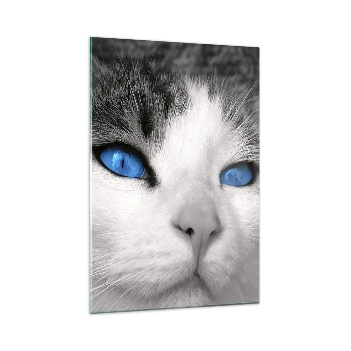 Quadro su vetro - Ritratto di un gatto con gli occhi azzurri in stile bianco e nero - 80x120cm - Insoliti occhi azzurri - Decorazione murale moderna per soggiorno e camera da letto ARTTOR