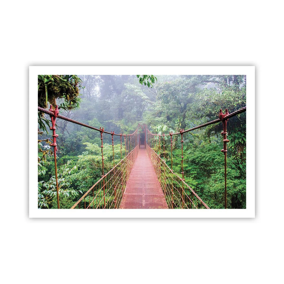 Poster - Sospeso sopra gli alberi - 91x61 cm