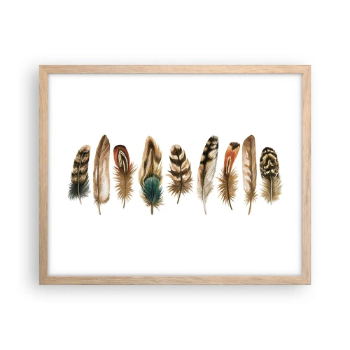 Poster in cornice rovere chiaro - Composizione di piume - 50x40 cm