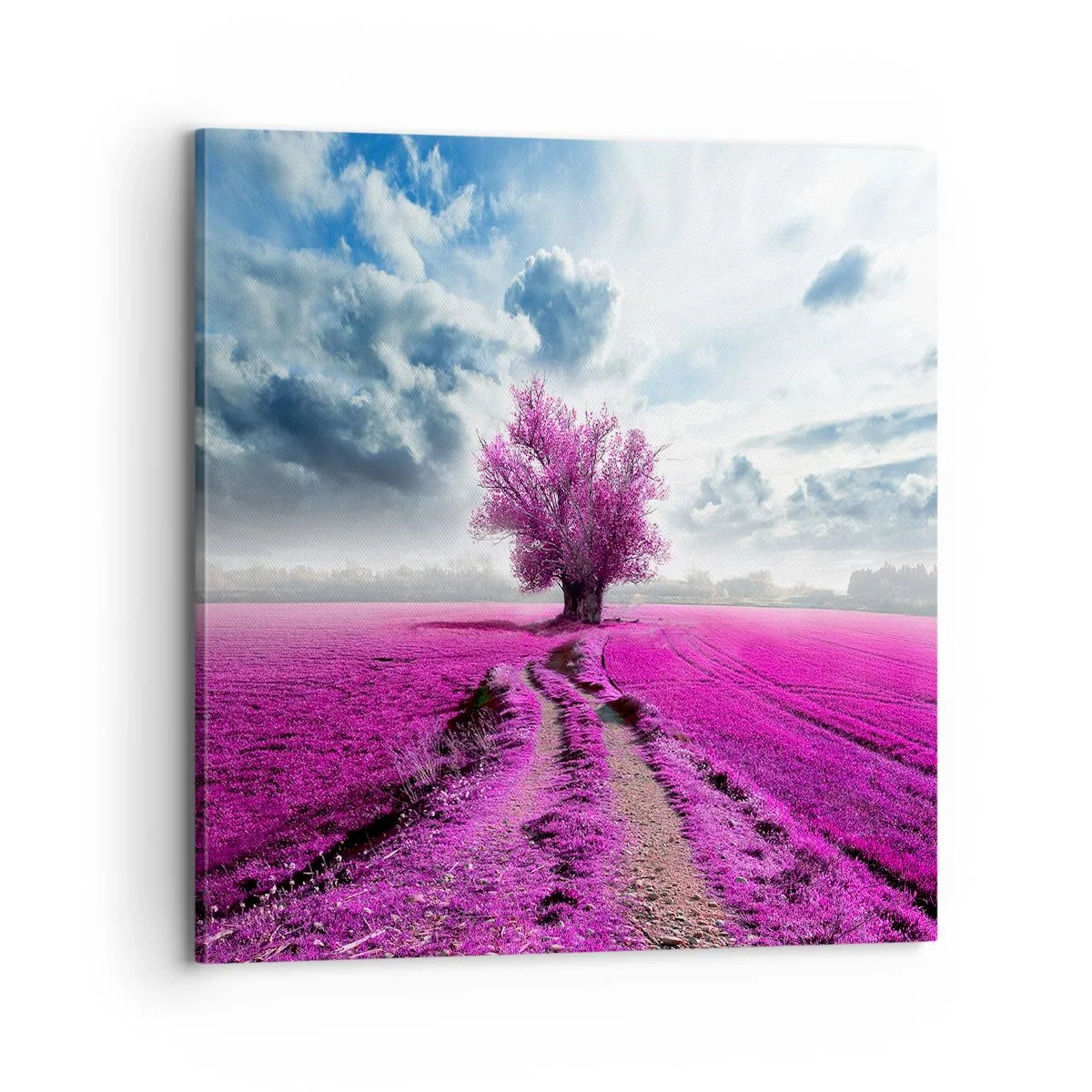 Quadro su tela - Stampe su Tela - Brughiera selvatica - 70x70 cm