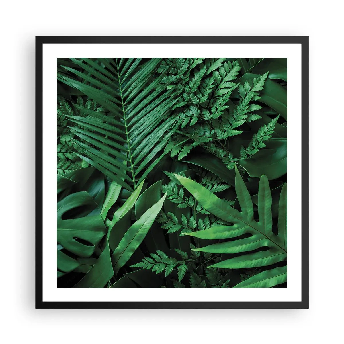Poster in cornice nera - Avvolti nel verde - 60x60 cm