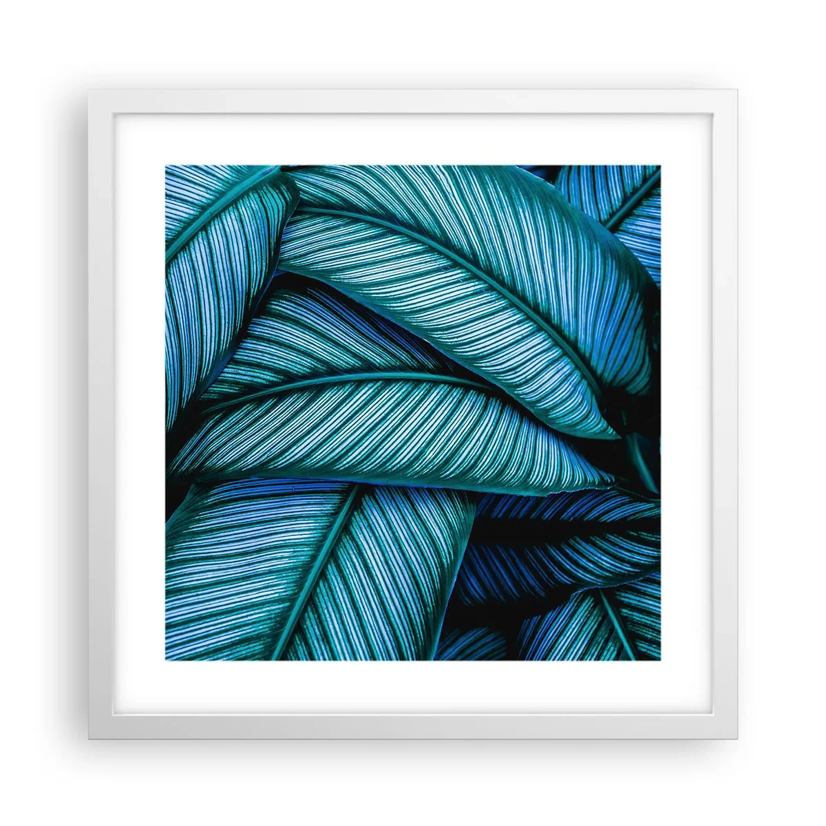 Poster in cornice bianca - Le linee della vita - 40x40 cm