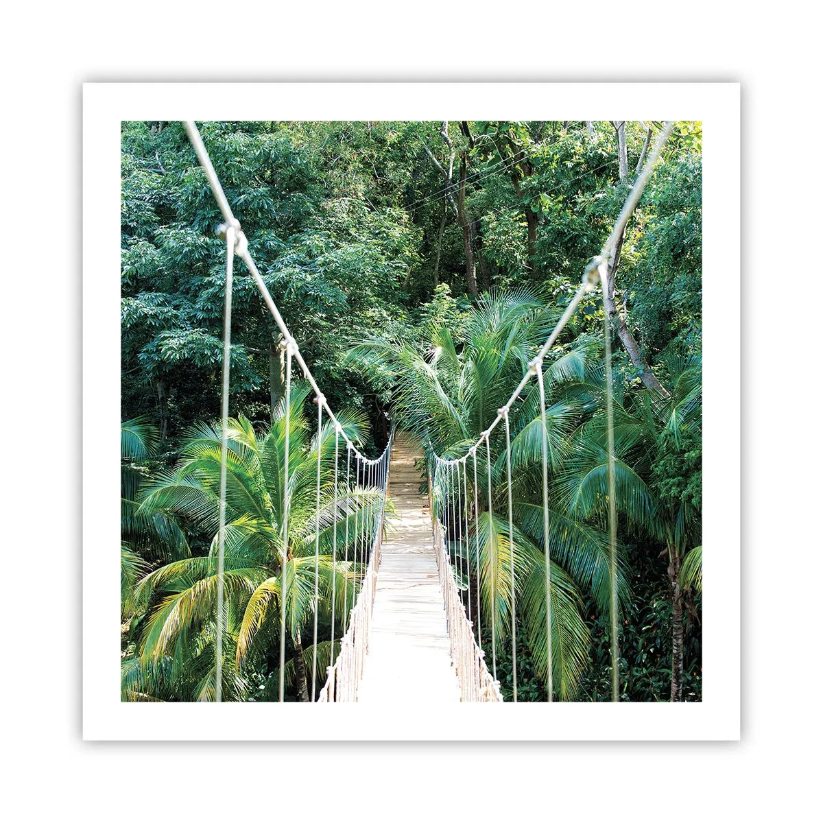 Poster - Welcome to the jungle! - 60x60 cm