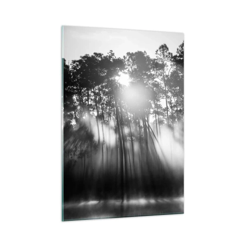 Quadro su vetro - Alberi bianchi e neri in una foresta con raggi di sole nella foschia - 50x70cm - Sole irrefrenabile - Decorazione murale moderna per soggiorno e camera da letto ARTTOR