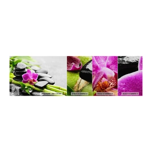 Campione di Fotomurale Premium Sand - Un tranquillo equilibrio - Fiori, Orchidea, Orchidea - 100x30 cm