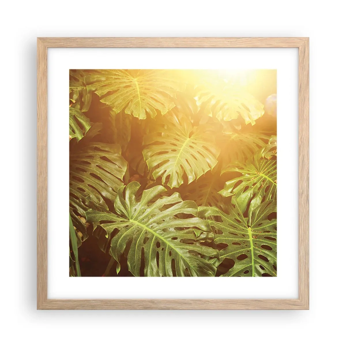 Poster in cornice rovere chiaro - Entrando nel verde... - 40x40 cm