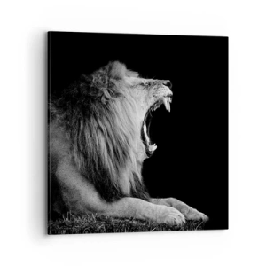 Quadro su tela - Stampe su Tela - Senza alcun dubbio - 70x70 cm