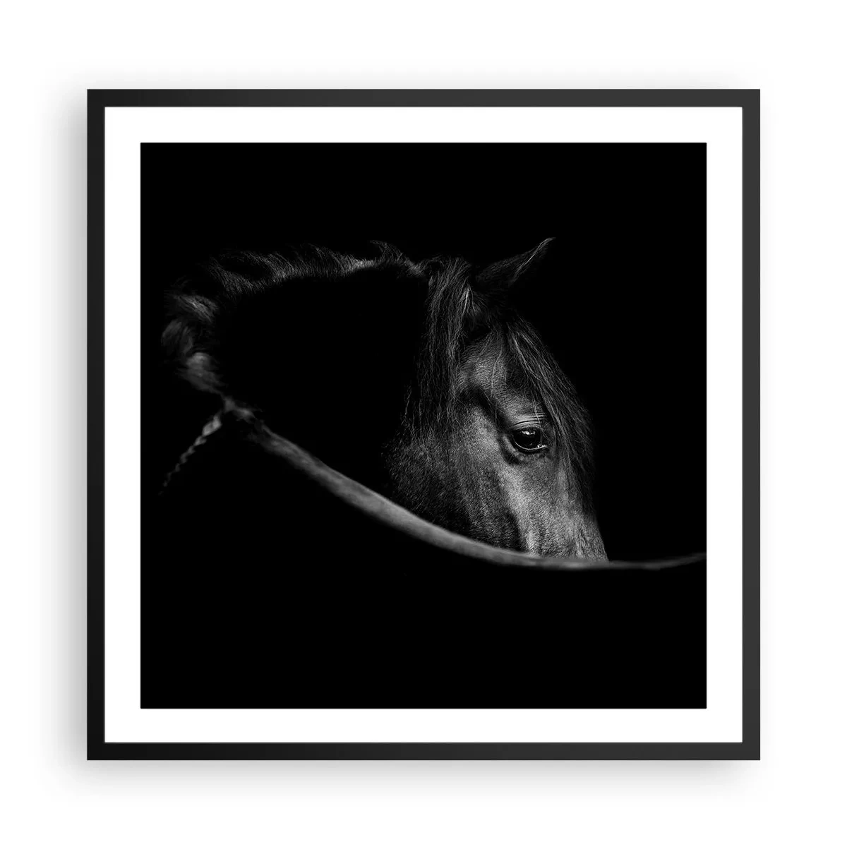 Poster in cornice nera - Il principe nero - 60x60 cm